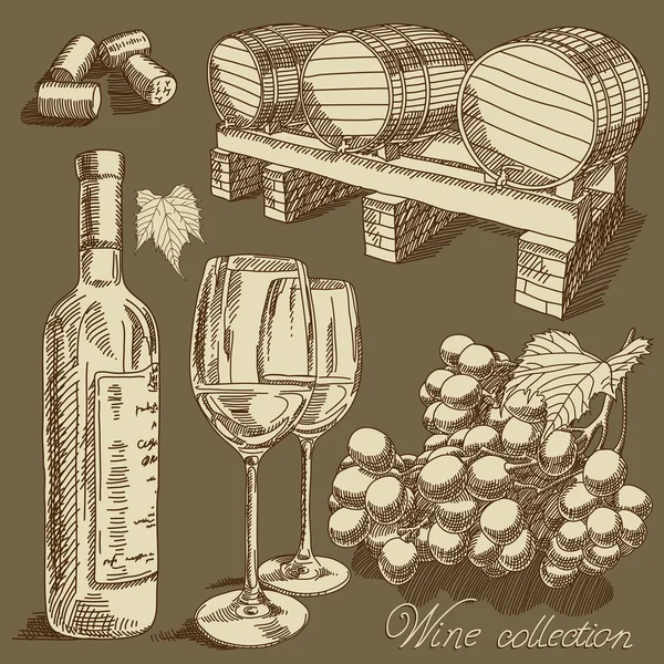 Colección de vinos — Vector de stock