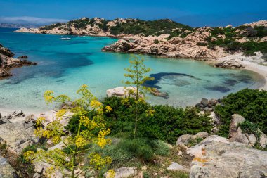 Caprera adasındaki Cala Napoletana 'nın panoramik manzarası, La Maddalena takımadaları ulusal parkı, Olbia-Tempio, Sardinya