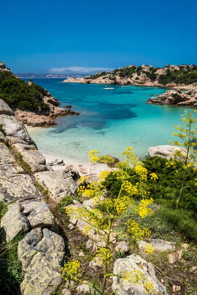 Vista Panorámica Cala Napoletana Isla Caprera Situada Parque Nacional Del — Foto de Stock