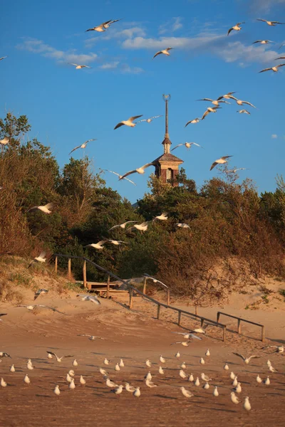 De kust van de Baltische Zee in de avond — Stockfoto