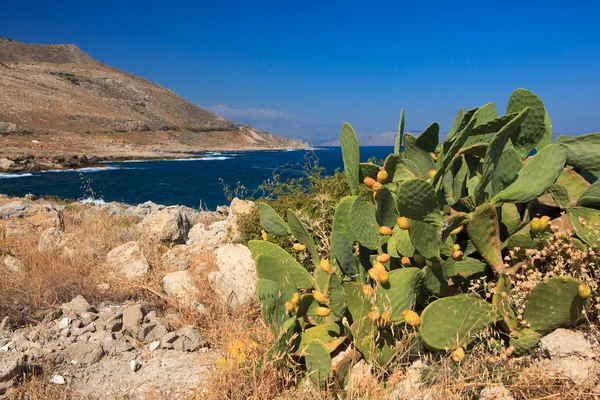 Paisagem em Creta — Fotografia de Stock