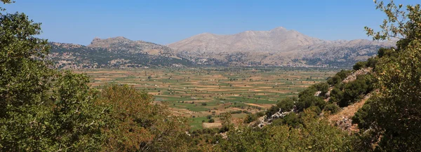 Plateau de Lasithi — Photo