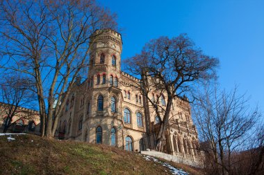 Vilnius raduszkiewicz Sarayı