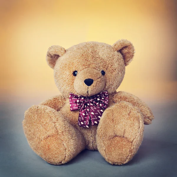 Teddy bear — Stockfoto