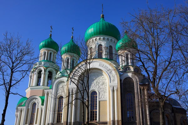 Церковь Романовых в Вильнюсе — стоковое фото