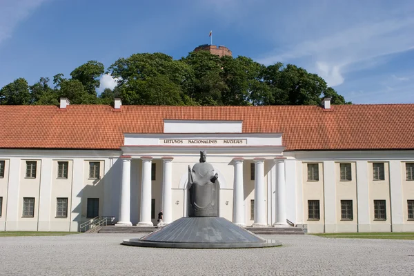 Litauisches Nationalmuseum — Stockfoto