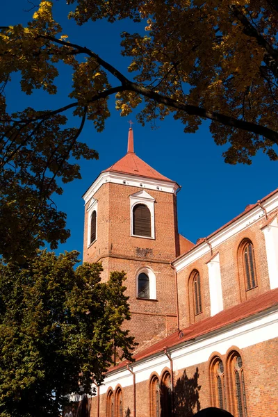 Kaunas katedralen basilica — Stockfoto