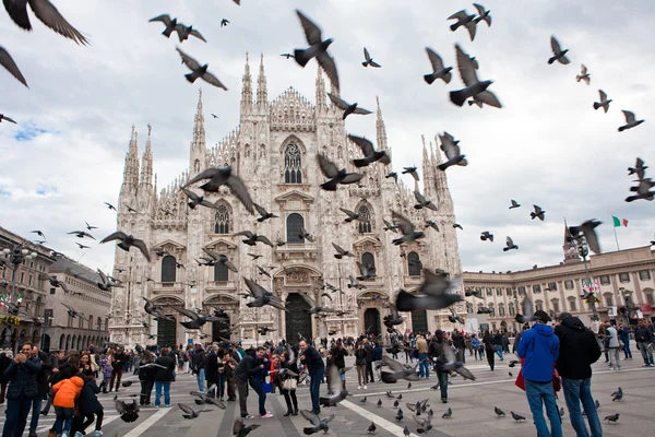 Milan domkyrka — Stockfoto