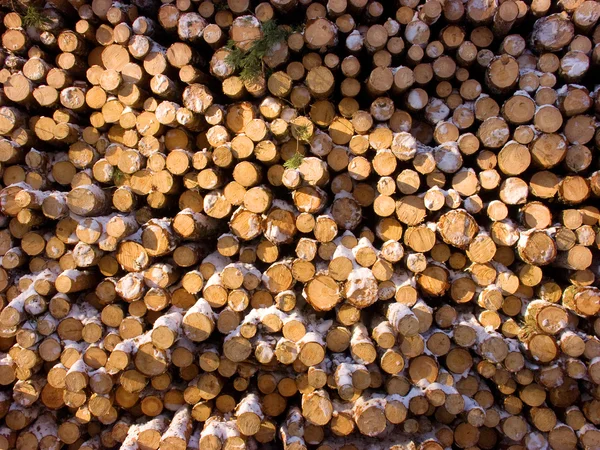 Logs — Stock Photo, Image