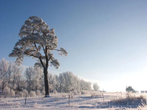 Paesaggio invernale — Foto Stock