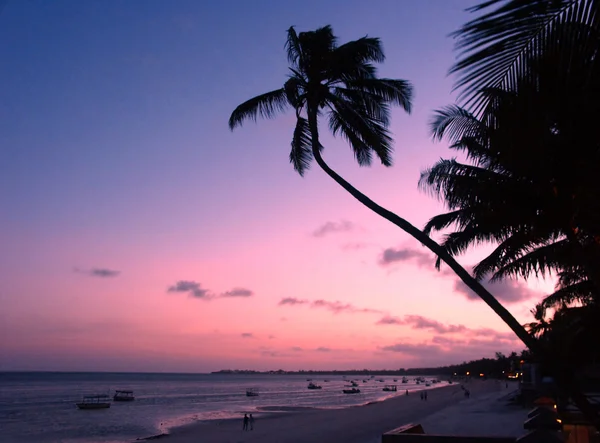 Tropisch strand — Stockfoto