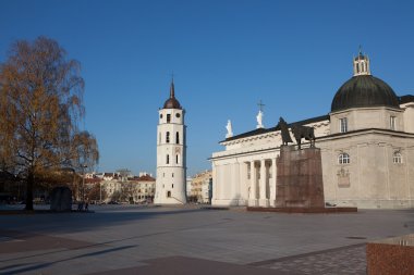 Vilnius katedral Meydanı