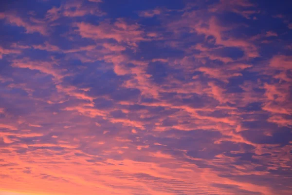 Akşam gökyüzü kırmızı — Stok fotoğraf