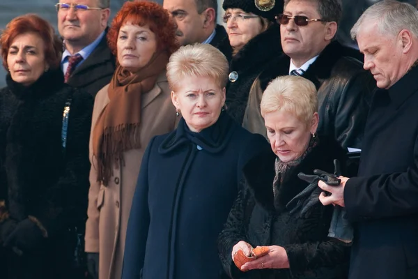 20e verjaardag van herstel van de onafhankelijkheid — Stockfoto