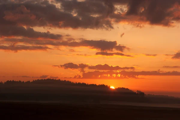 Восход солнца на лугу — стоковое фото