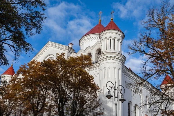 Ortodox Katedrális Dormition Theotokos Vilnius Óvárosában Litvánia — Stock Fotó