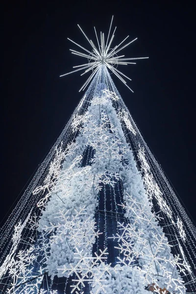Vilnius Litauen November 2021 Nachtansicht Des Wichtigsten Weihnachtsbaums Von Vilnius — Stockfoto
