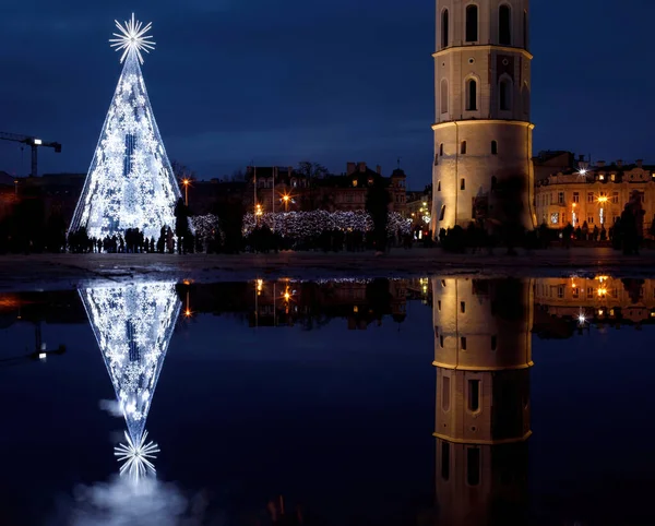 リトアニアのヴィリニュス 2021年11月28日 リトアニアの首都ヴィリニュスの主要なクリスマスツリーの夜景 大聖堂広場に位置し 大聖堂と鐘楼の隣にあります ロイヤリティフリーのストック画像