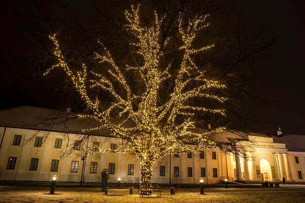 Vilnius Litouwen December 2020 Verlichte Eik Voor Het Nationaal Museum — Stockfoto
