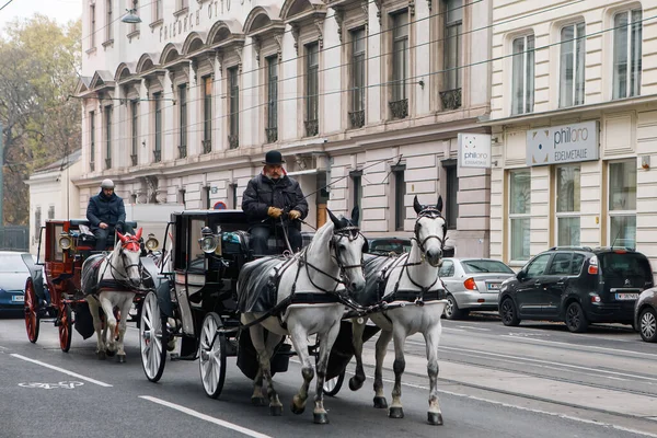 Wien Österreich November 2021 Pferdekutsche Oder Fiaker Beliebte Touristenattraktion Wien — Stockfoto