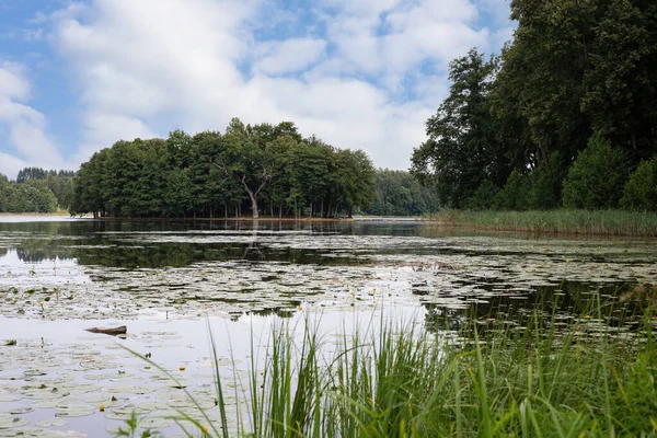 Isla Love Meiles Sala Lago Ilge Cerca Ilzenberg Manor Distrito — Foto de Stock