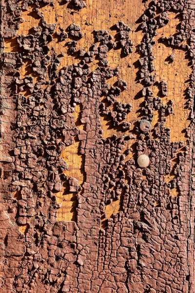 Ahşap Bir Duvarda Çatlak Boya Kahverengi Eski Boyalı Grunge Arkaplanı — Stok fotoğraf