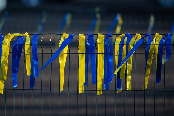철조망에 우크라이나 노랑은 우크라이나 국기의 색이다 일반적 분야의 — 스톡 사진