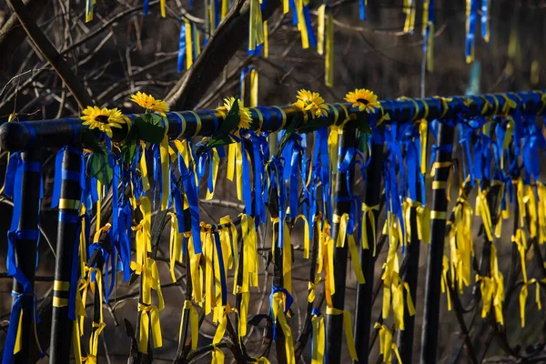 Nastri Sulla Recinzione Girasoli Simboli Dell Ucraina Blu Giallo Sono — Foto Stock