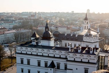 Vilnius, Litvanya - 19 Mart 2022: Gediminas Şatosu, Vilnius, Litvanya