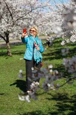 Çekici bir kadın telefonuyla Japon kiraz ağacı bahçesinde selfie çekiyor. Akıllı telefonuyla çiçek açan ağaçların arasında şık bir kadın..
