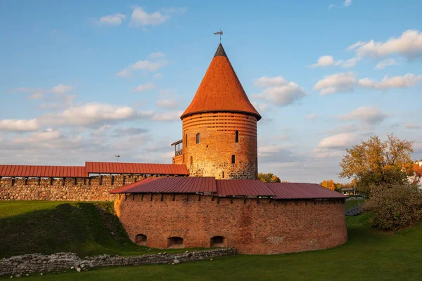Castillo Kaunas Construido Mediados Del Siglo Xiv Estilo Gótico Kaunas — Foto de Stock
