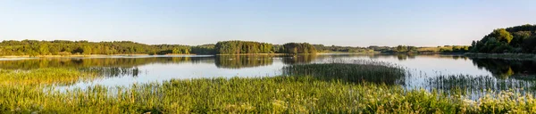 Panoramisch Uitzicht Een Schilderachtig Meer Met Meer Dan Zwanen Erin — Stockfoto