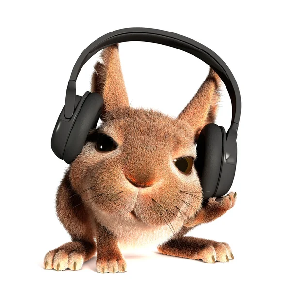 Rabbit in the headphones — Stock Photo, Image