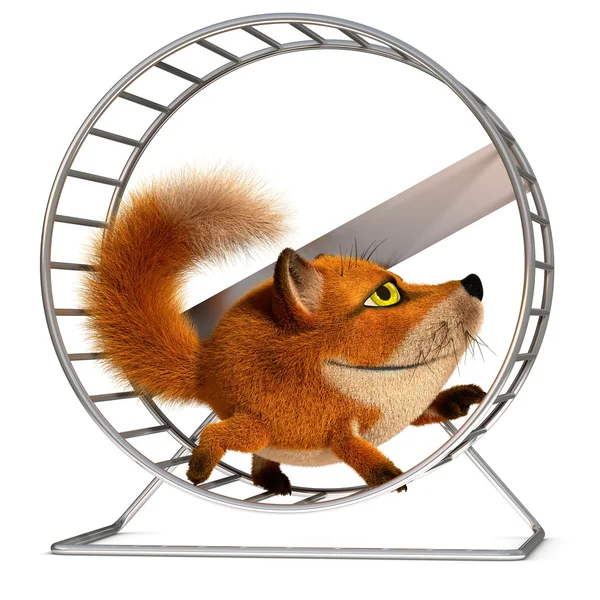 Fox in the wheel — Stock Photo, Image