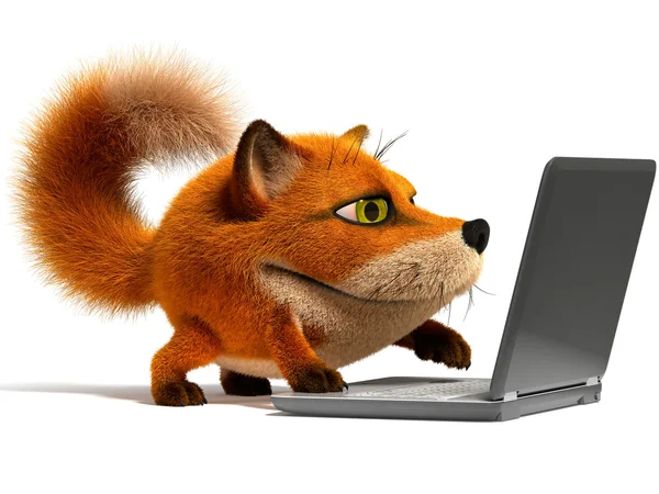 Αλεπού χρησιμοποιώντας ένα φορητό υπολογιστή — Φωτογραφία Αρχείου