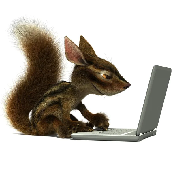 Squirrel using a laptop — Stock Photo, Image