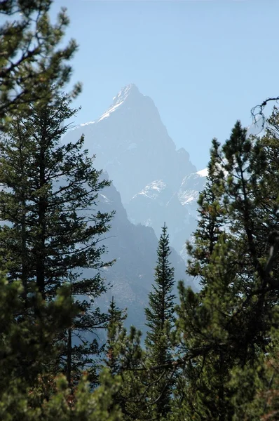 Große Tetonen — Stockfoto