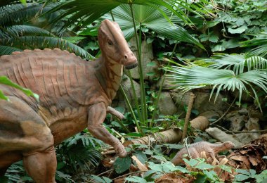 Onu civciv otlatırken maiasaur