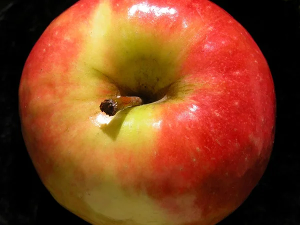 Crisp wild apple — Stock Photo, Image