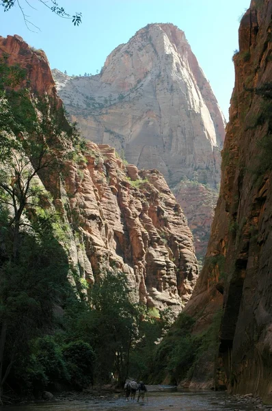 Virgin River View — Zdjęcie stockowe