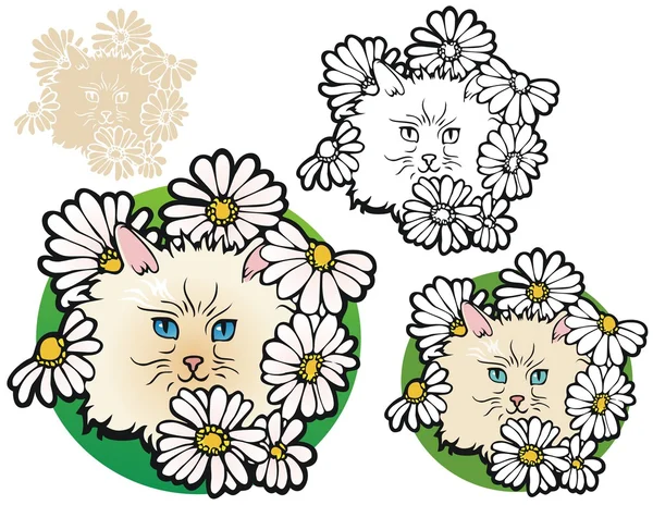 Kitten in the daisies — Stockvector