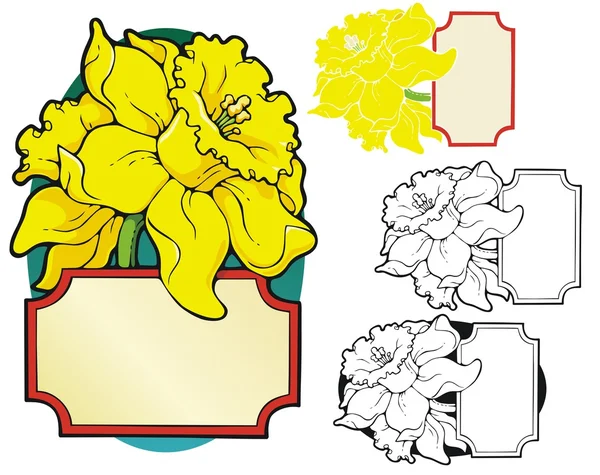 Daffodil bookplate — Stock Vector