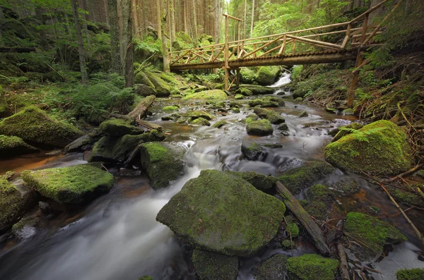 Brook with a wooden bridge — Stock Photo, Image