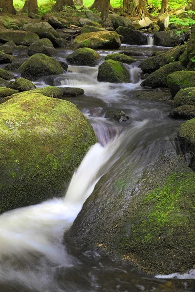 Little cascade — Stock Photo, Image