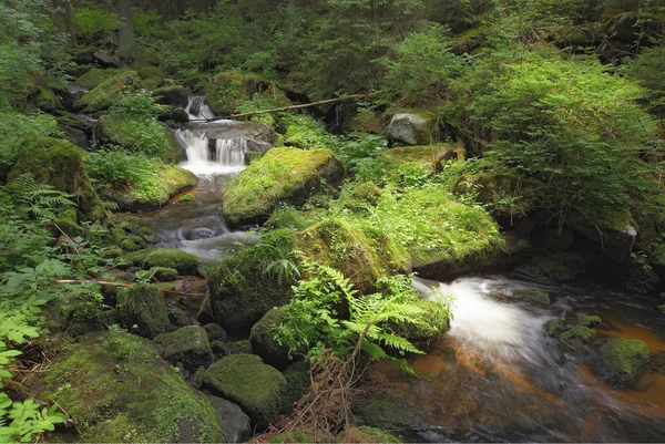 Fjellbekk – stockfoto