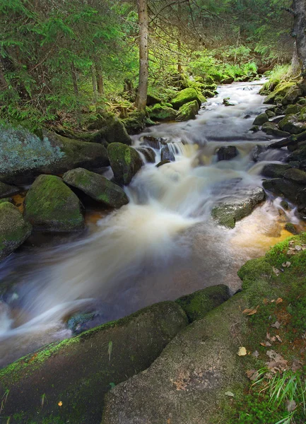 Liten fjellelv – stockfoto