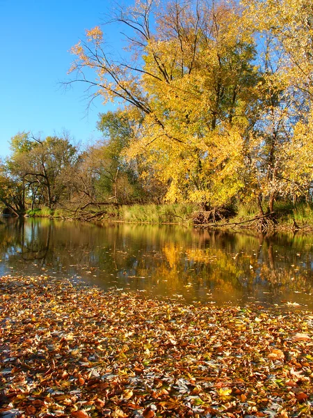 Kishwaukee rivier herfst landschap — Stockfoto