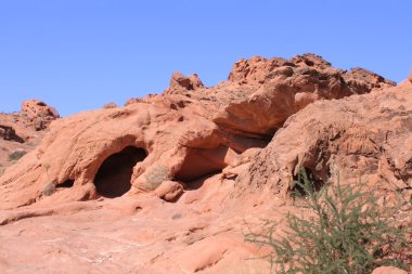 Yangın state park - nevada Vadisi