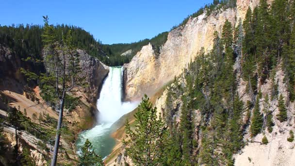 Cascate inferiori della Yellowstone — Video Stock