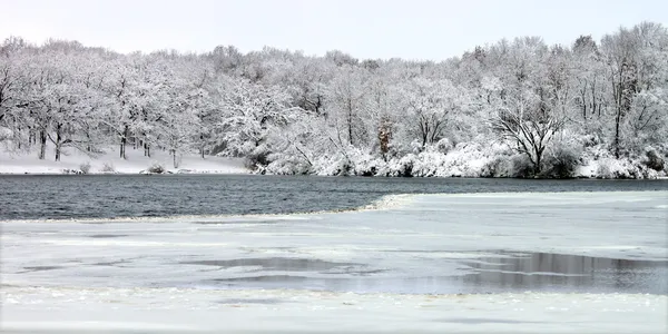 Pierce Lake Snowfall - Illinois — Stock Photo, Image